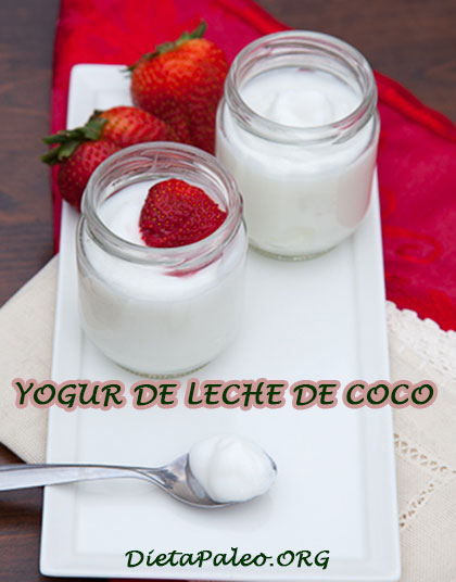 yogur-de-leche-de-coco1