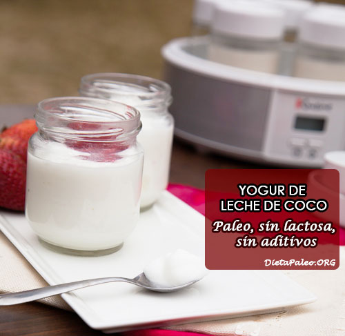 yogur-leche-de-coco