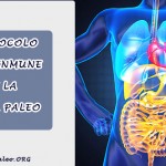 Protocolo Autoinmune Paleo  Parte 1